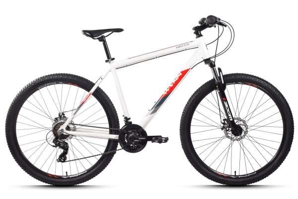WYNN Mountainbike 29 Zoll HRT2.0 Rahmenhöhe 48 cm Damen und Herren 21 Gänge mech. Scheibenbremse