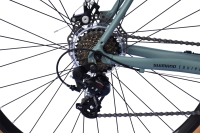 WYNN Gravelbike 28 Zoll GRL1.0 grün Damen Herren 14...