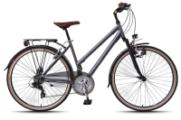 WYNN Trekkingrad 28 Zoll TRK1.0 grau Damen 21 Gänge...