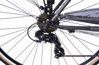 WYNN Trekkingrad 28 Zoll TRK1.0 grau Damen 21 Gänge...