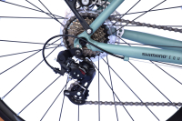 WYNN Gravelbike 28 Zoll GRL1.1 grün Damen Herren 14...