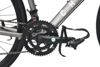 CHILLIZ Rennrad 28 Zoll RDB2.0 grau Damen Herren 14...